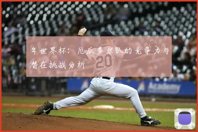 年世界杯:厄瓜多尔队的竞争力与潜在挑战分析