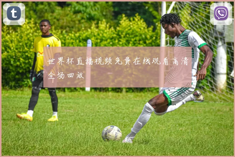 世界杯直播视频免费在线观看高清全场回放
