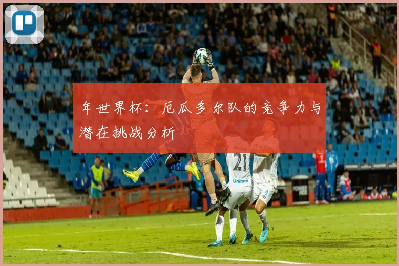 年世界杯：厄瓜多尔队的竞争力与潜在挑战分析