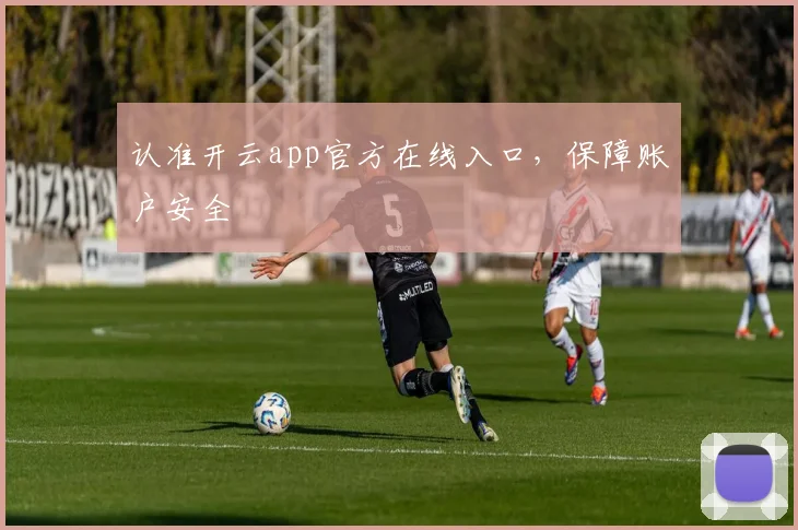 认准开云app官方在线入口，保障账户安全